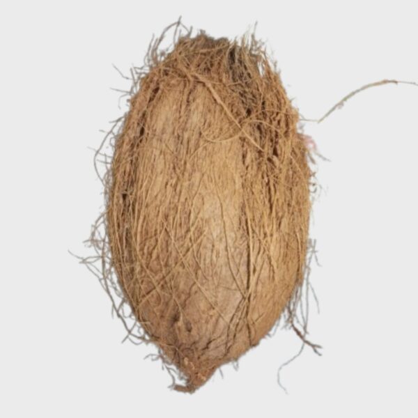 Coconut